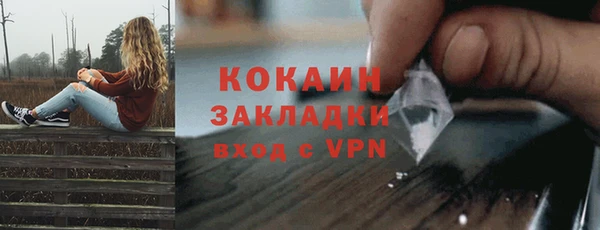 индика Белоозёрский