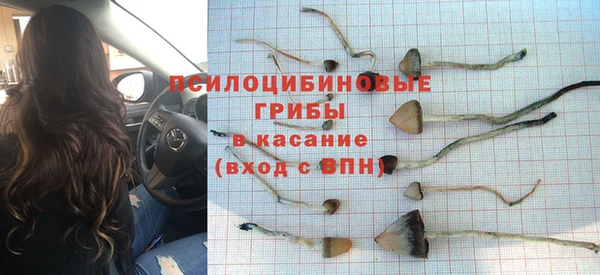 индика Белоозёрский