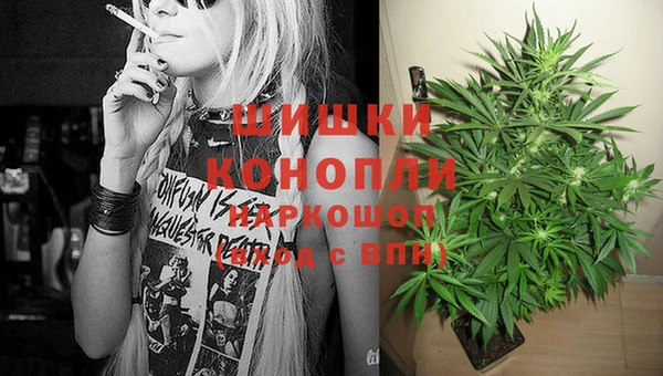 дмт Вяземский