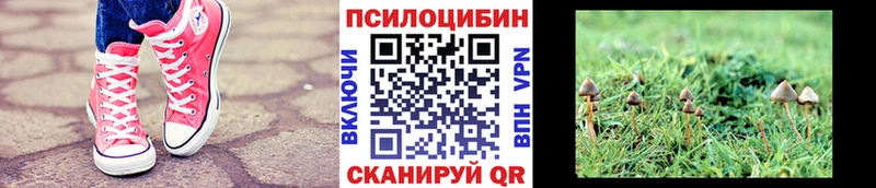 Псилоцибиновые грибы ЛСД  Пионерский 